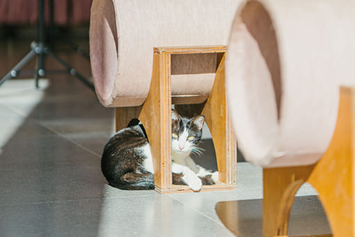 DENKEN WEEK IZUMI 2022 Gallery image44