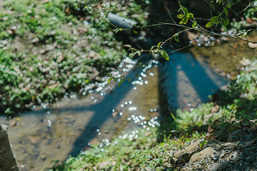 DENKEN WEEK IZUMI 2022 Gallery image60