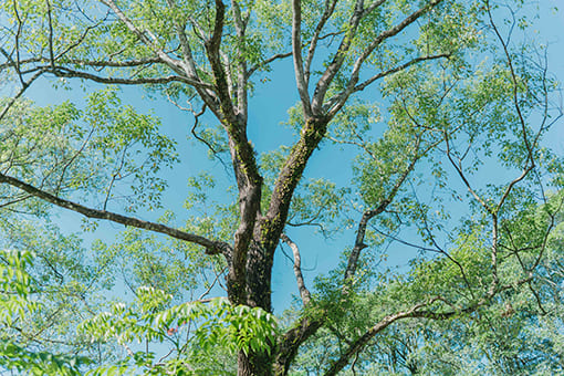 DENKEN WEEK IZUMI 2022 Gallery image62