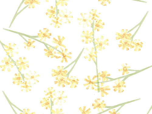 DENKEN WEEK IZUMI 2022 中原 みお EXHIBITION