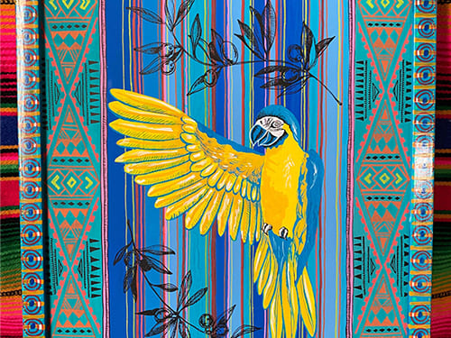 DENKEN WEEK IZUMI 2022 山川 温子