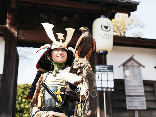 DENKEN WEEK IZUMI 2022 甲冑試着体験 EXHIBITION