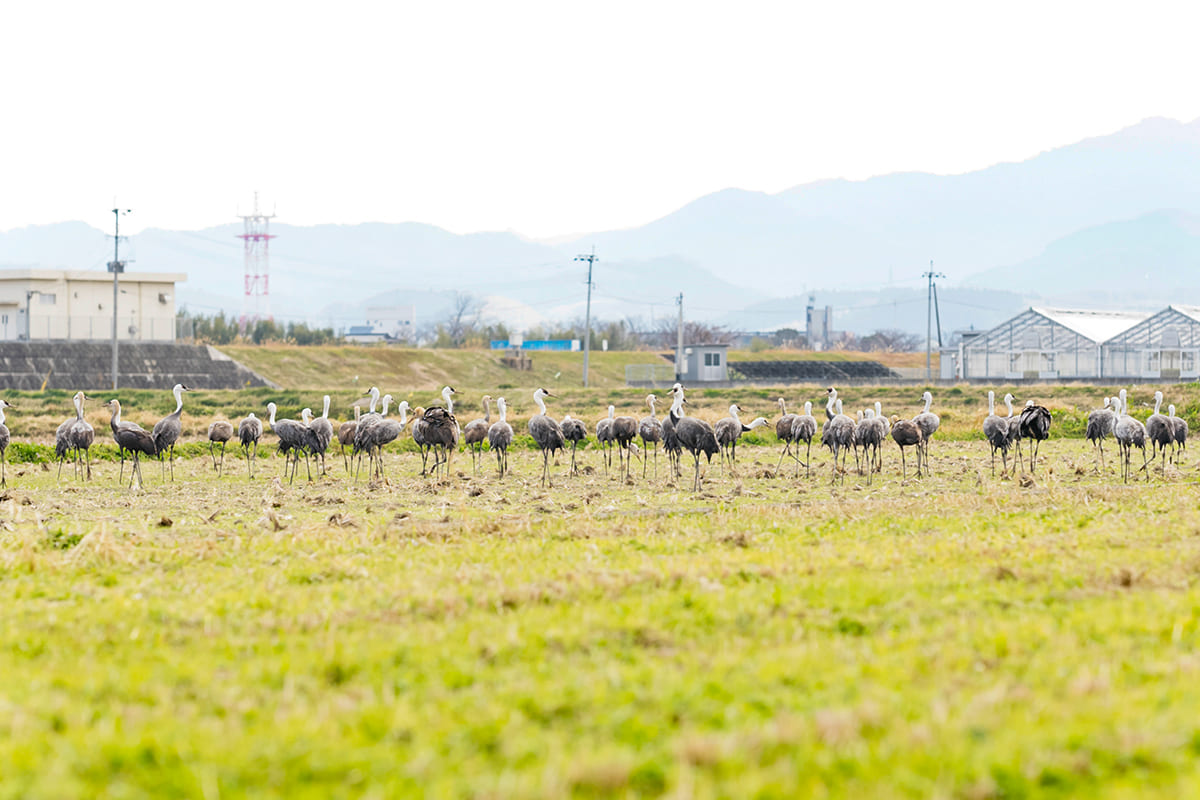 DENKEN WEEK IZUMI 2021 photo1