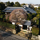 DENKEN WEEK IZUMI 2021 税所邸 サムネイル