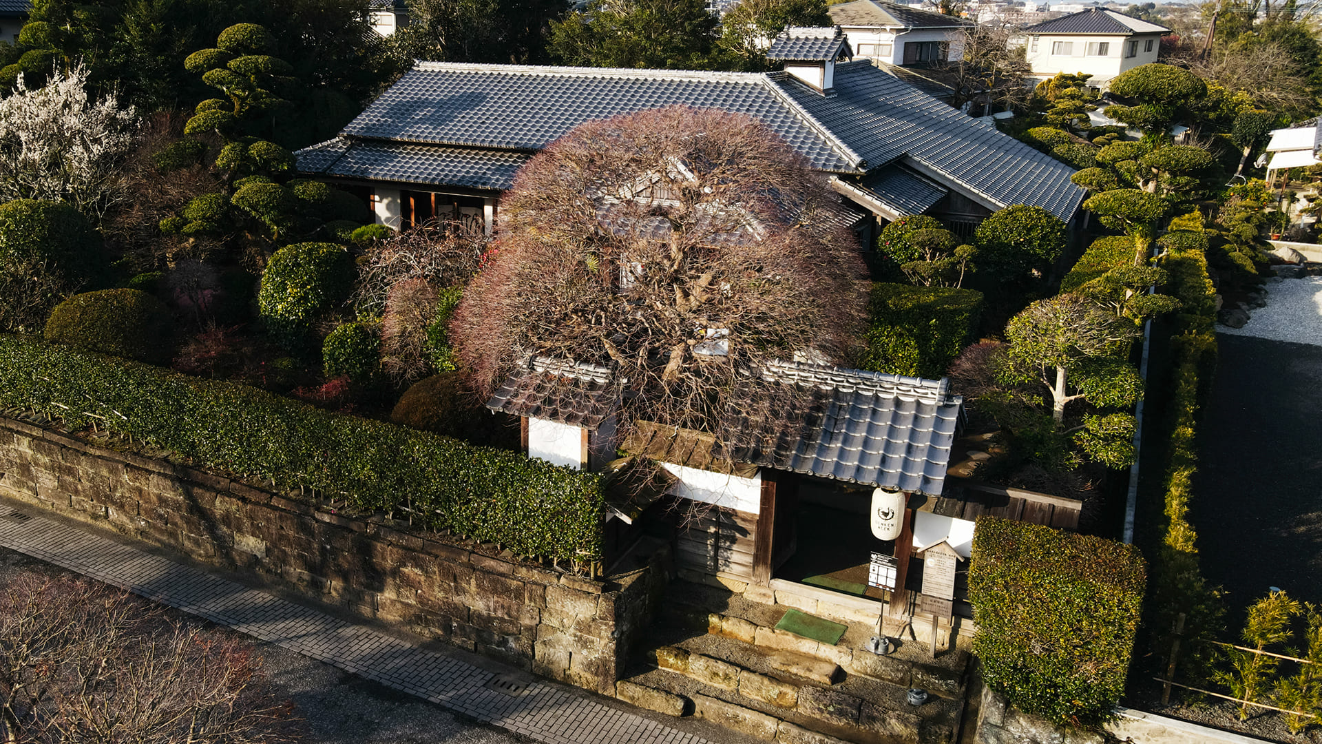 DENKEN WEEK IZUMI 2021 税所邸 写真 photo1