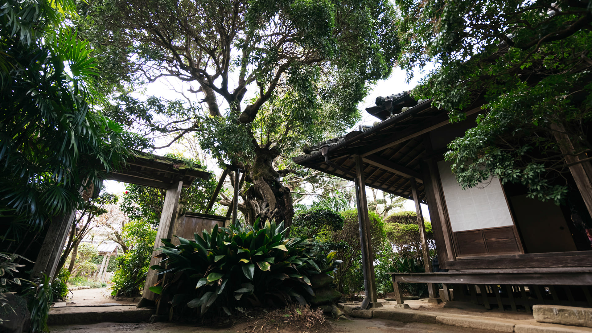 DENKEN WEEK IZUMI 2021 竹添邸 写真 photo1