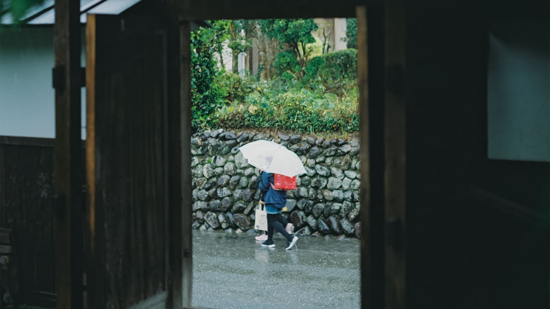 DENKEN WEEK IZUMI 2022 / TAIWAN - KAGOSHIMA ART FESTIVAL コンセプト画像 concept image1