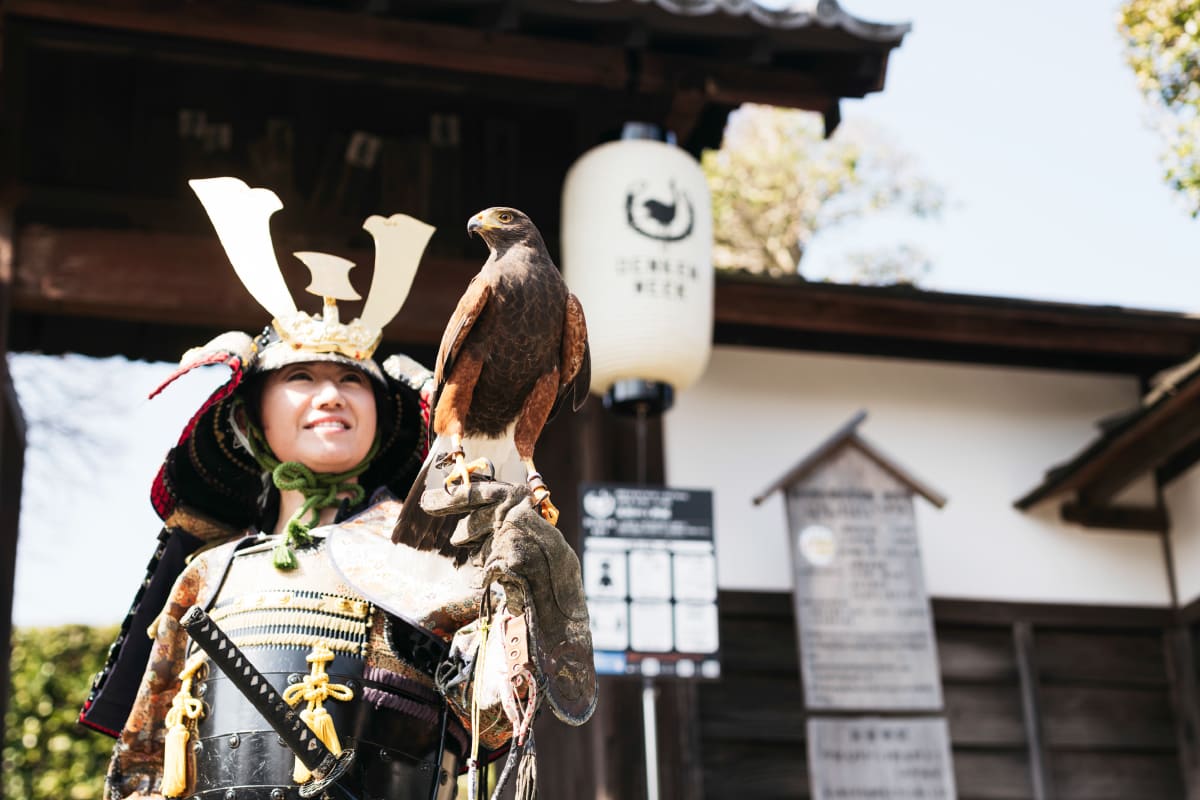 DENKEN WEEK IZUMI 2021 写真 photo2